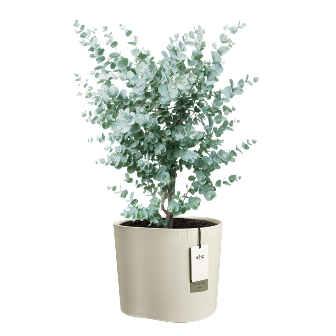 eden 35cm linnen wit